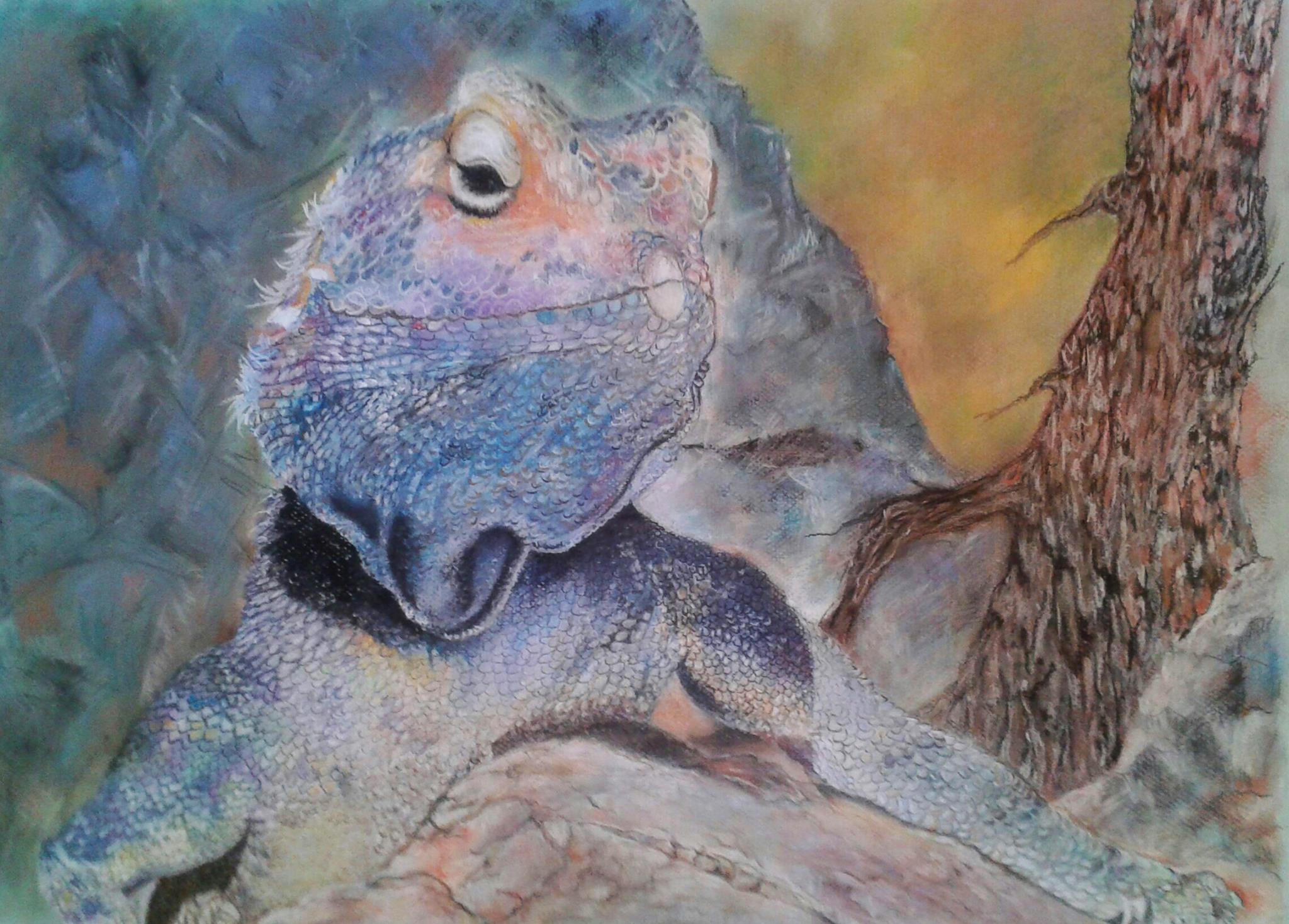 Pastel cartulina 59x44