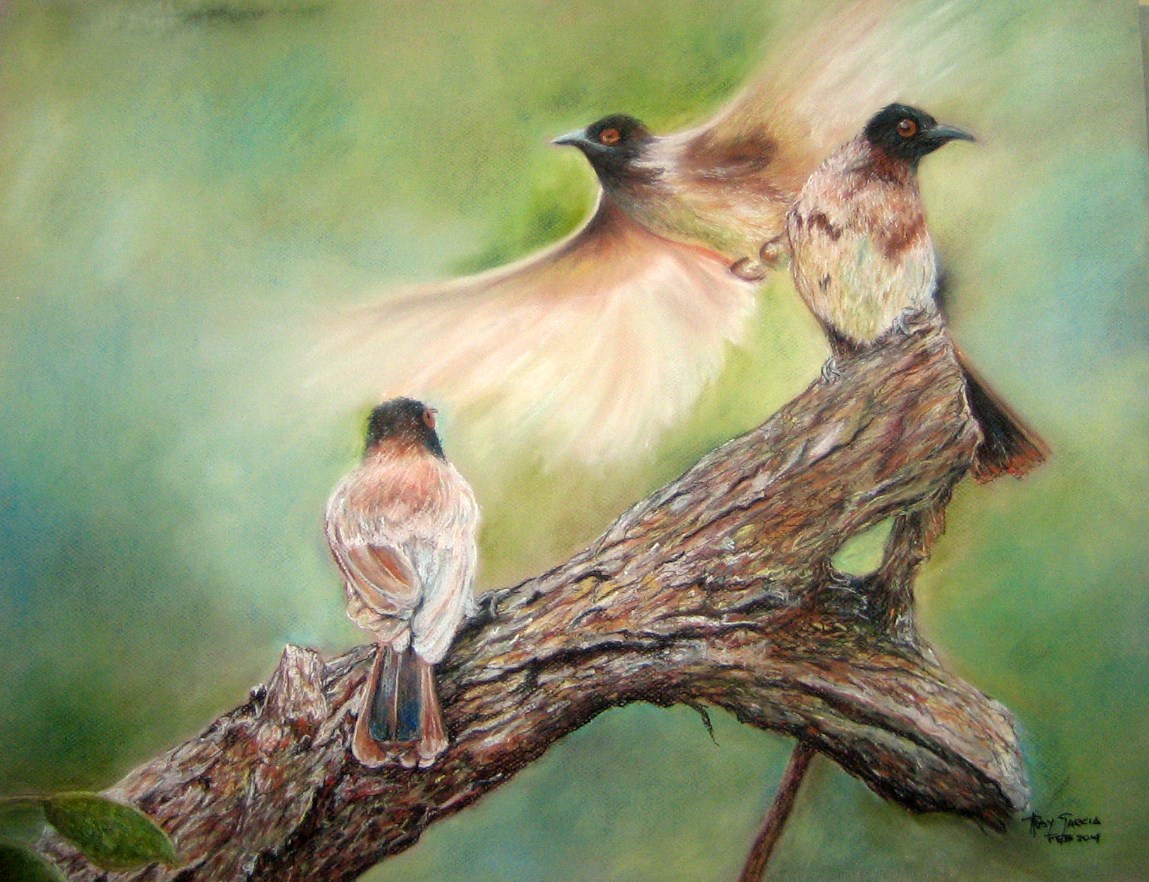 Pastel cartulina 65 x 50